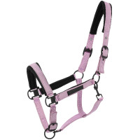 Licol Equithème Pearl Lavande Violet