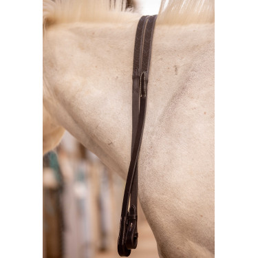 Rênes Eden Pénélope Rênes Eden Pénélope