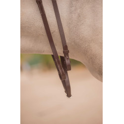 Rênes Eden Pénélope Rênes Eden Pénélope