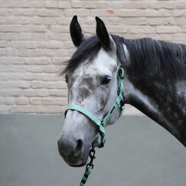 Longe d'attache Lami-Cell Midnight