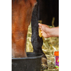 Gel réfrigérant Equinatura