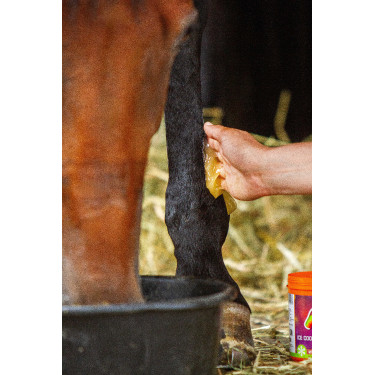 Gel réfrigérant Equinatura