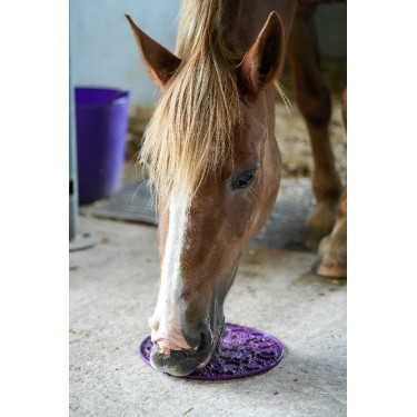 Pâte à lécher Likit Graze Paste