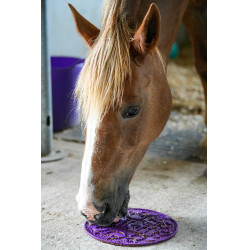 Pâte à lécher Likit Graze Paste