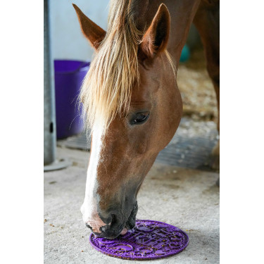 Pâte à lécher Likit Graze Paste