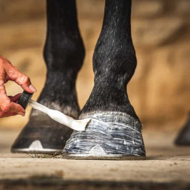 Huile pour sabots Carr & Day & Martin Daily Hoof Moisturiser Cornucrescine