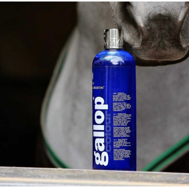 Shampoing Gallop® Carr & Day & Martin Gris
