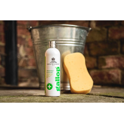 Shampoing antibactérien Gallop® Carr & Day & Martin