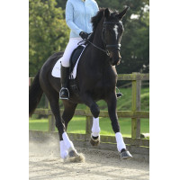 Guètres S&F intégrales Equilibrium Noir Guètres S&F intégrales Equilibrium Noir