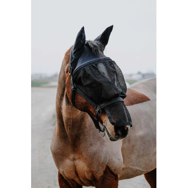 Licol + masque Equithème Noir