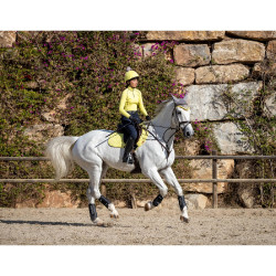 Sous-vêtement technique My LeMieux Citron Jaune Sous-vêtement technique My LeMieux Citron Jaune