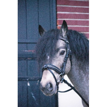 Bridon Pénélope Eden Noir Bridon Pénélope Eden Noir
