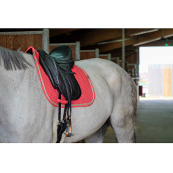 Tapis de selle Equithème Softy