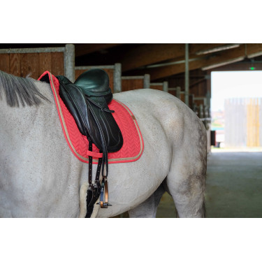 Tapis de selle Equithème Softy