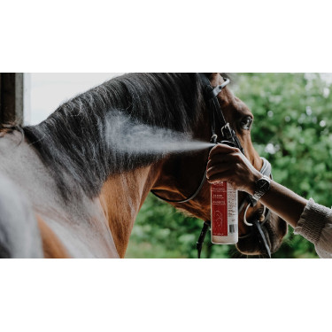 Démêlant lustrant Rekor Show Coat