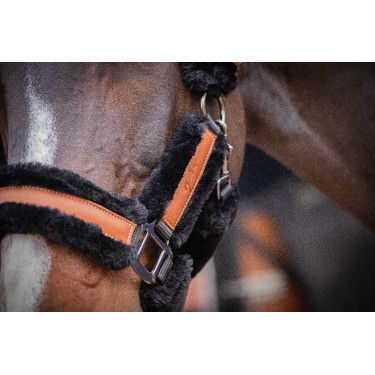 Licol Pénélope Soft