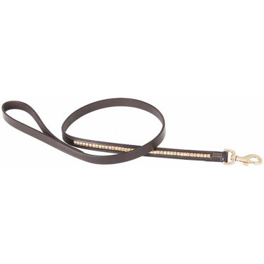 Laisse Pour Chien Clincher T de T Laisse Pour Chien Clincher T de T