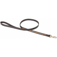 Laisse Pour Chien Strass T de T Havane foncé / jaune Marron