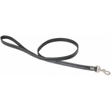 Laisse Pour Chien Surpiqures T de T Laisse Pour Chien Surpiqures T de T