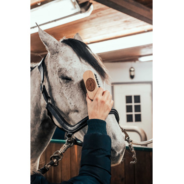 Brosse de tête Borstiq Brosse de tête Borstiq