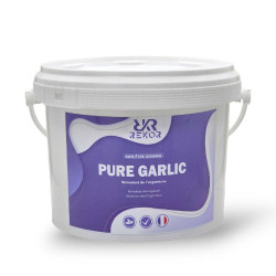Ail semoule Rekor Ail Pur