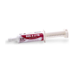 Aliment complémentaire Rekor Rek A Lyte flash Aliment complémentaire Rekor Rek A Lyte flash