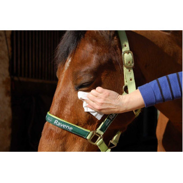 Easy Shine Wipe Ravene Lingettes nettoyantes