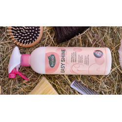 Easy Shine Ravene Eco-Recharge