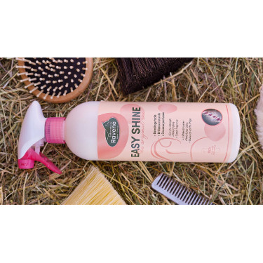 Easy Shine Ravene Eco-Recharge