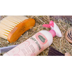Easy Shine Ravene Eco-Recharge