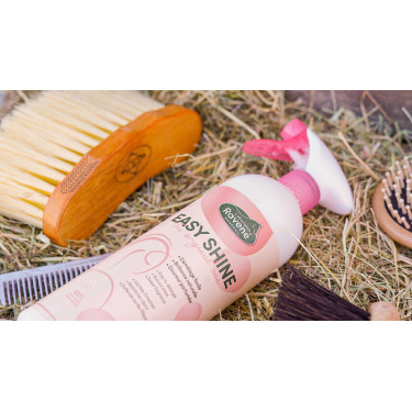 Easy Shine Ravene Eco-Recharge