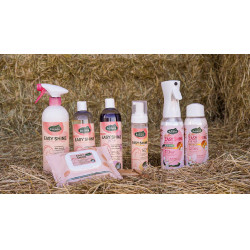 Easy Shine Ravene Eco-Recharge