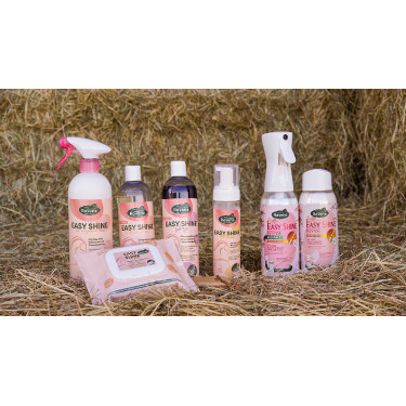 Easy Shine Ravene Eco-Recharge