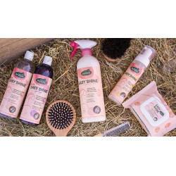 Easy Shine Ravene Eco-Recharge