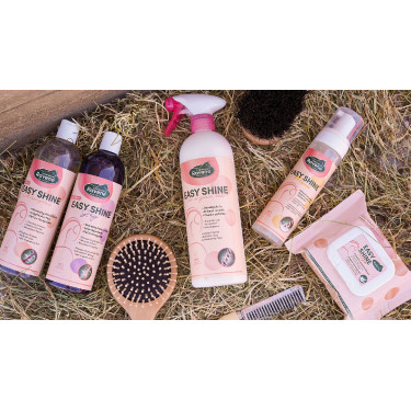 Easy Shine Ravene Eco-Recharge