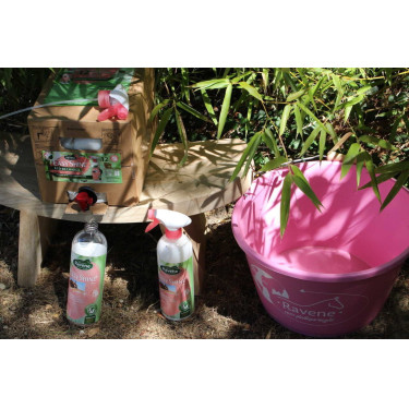 Easy Shine Ravene Eco-Recharge