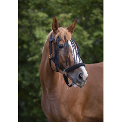 Frontal chasse-mouches Norton