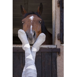 Chaussettes Equithème Girly Chaussettes Equithème Girly