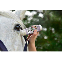Stop-Insectes du Maréchal Roll-On - soins du cheval