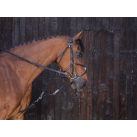 Gogue à poulies Riding World Havane Marron Gogue à poulies Riding World Havane Marron