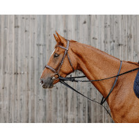 Enrênement Norton Pro Thiedeman Noir Enrênement Norton Pro Thiedeman Noir