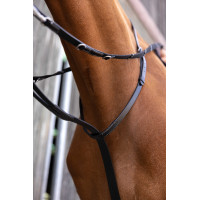 Enrênement Norton Pro Thiedeman Noir