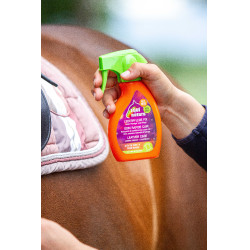 Soin rapide cuir Equinatura