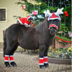 Bonnet oreilles Noël en forme de bois de renne
