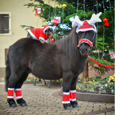 Bonnet oreilles Noël en forme de bois de renne