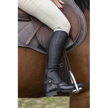 Mini-chaps Norton Stretch Noir Mini-chaps Norton Stretch Noir