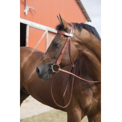 Bridon Randol'S Two One Bridon Randol'S Two One