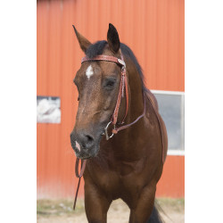 Bridon Randol'S Two One Bridon Randol'S Two One