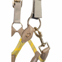 Licol Lauria Garrelli Limone Sportive Gris / beige Licol Lauria Garrelli Limone Sportive Gris / beige