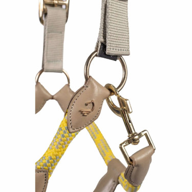 Licol Lauria Garrelli Limone Sportive